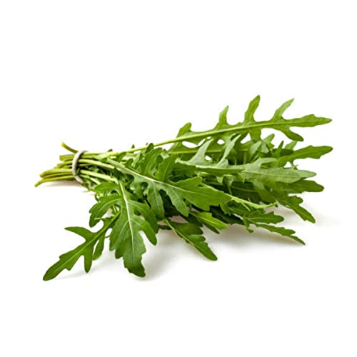 Sementes de Rúcula Selvática TOPSEED