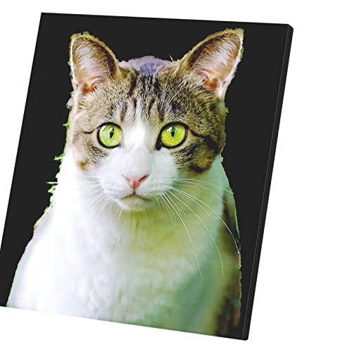 Tableau chat blanc motif tigre 60x67cm, impression toile yeux verts déco moderne