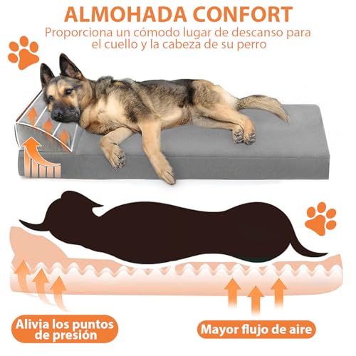 Perro, Pet Products Imagen adicional