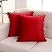 Deconovo Lot de 2 Housse de Coussin 40x40cm en Velours Taie d'oreiller Désign Moderne Housse de Coussin Noël Rouge Vif