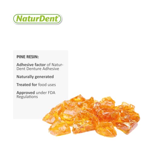 Natural Strong Denture Adhesive NaturDent Holds Dentures Longer and Stronger | NO Zinc NO Paraffin No Yucky Taste | Bundle with Dentu-Care Denture Brush