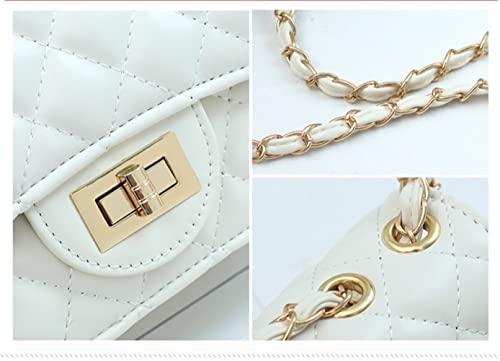 Designer Handbags Small Crossbody Bags Clutch Leather Quilted Purse for Women3