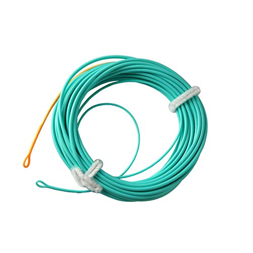 Aventik Skagit PlusShooting Head Floating Fly Line with Welded Loop (20ft,350grain)