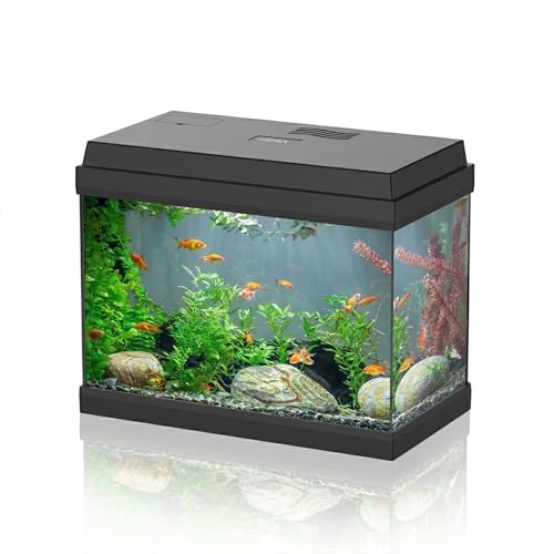AQPET Acquario in Vetro per Pesci Tropicali Completo di Accessori
