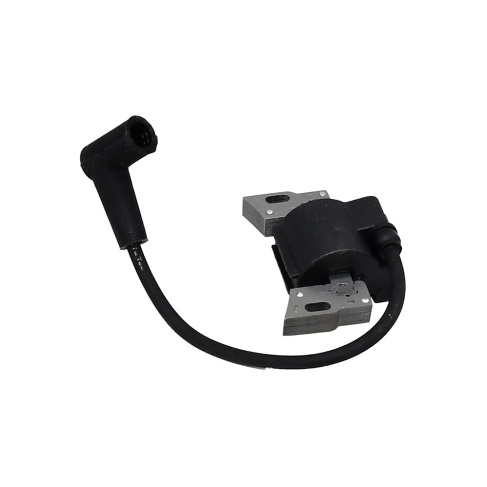 Bobine d'allumage OEM 596532 haute conductivité pour moteurs 09P702-0003-F1