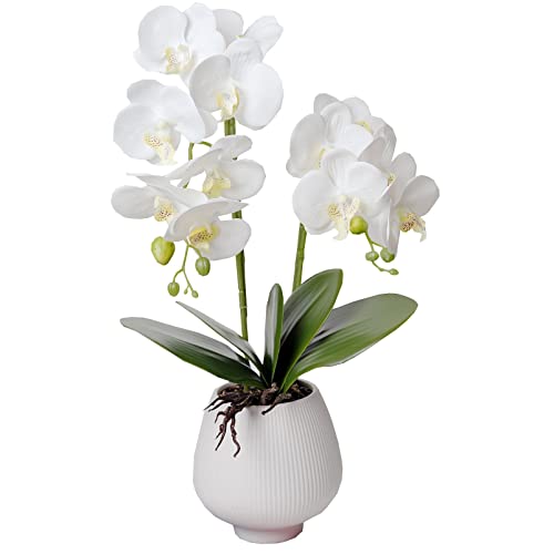 Top 10 Best Faux Orchid Plant Top Picks 2023 Reviews