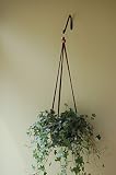 Primitive Planters Macramé S-Hook Plant Hanger Assorted 24in (43235-8797)