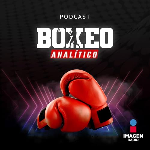 &iquest;C&oacute;mo se forma un juez de boxeo profesional?