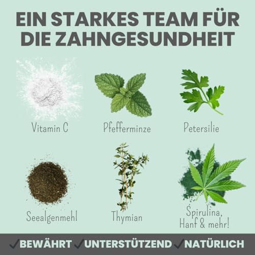 noms+ Dentalmix - Zahnpflege Pulver für Hunde – Natürliches Mittel gegen Zahnstein, Plaque & Mundgeruch Hund – Effektive Zahnreinigung gegen Zahnbelag bei Hunden