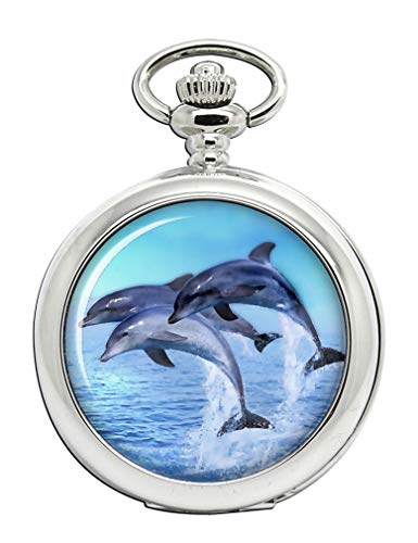 dauphins Full Hunter montre de poche