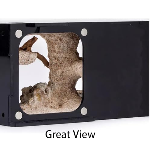 Rimsunta Ant Farm Ant House for ant Farm for Adults Study of Ant Behavior Ant Nest ant Terrarium Educational Formicarium for Live Ants and Queen,Cave Style Landscapes