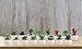 FAONIE Artificial Succulent Plants Unpotted - Premium Pack of Small Fake Succulent Plants (16 Pack)