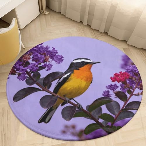 �v���b�V�� �R�[���� �x���x�b�g ���E���h �G���A���O 2�t�B�[�g �ɔ� 0.5 cm �C�G���[�����v �t���C�L���b�`���[�t���A�}�b�g ����~�� TPR���n ��p�C�� ����\ �E�F���J���t�����g�h�A�}�b�g �Q�� ���֑���