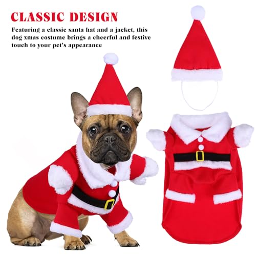 Disfraz de perro Santa Claus XL para invierno miniatura 3
