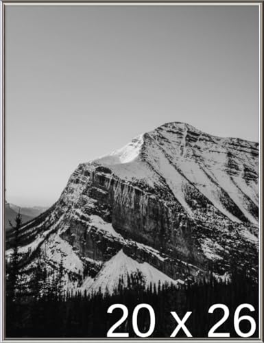 Frame It Easy 20 x 26 Gloss Silver Metal Frame (Hanover)