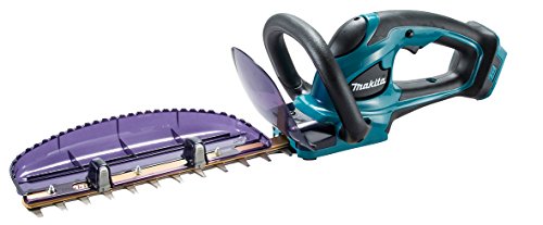 家庭菜園 生垣 お茶の木剪定方法 冬がしやすい 必須道具は 農家妻しばさくブログ