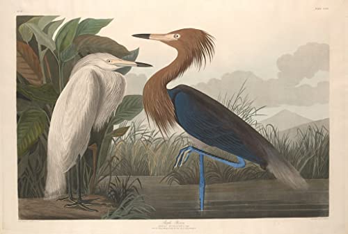 Pintura al óleo abstracta de garza imperial sobre lienzo para decoración de casa