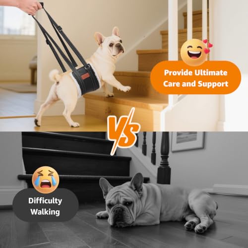 Image of LOOBANI Portable Dog Sling for Small Dogs Hind Leg Support Weak Rear Legs
