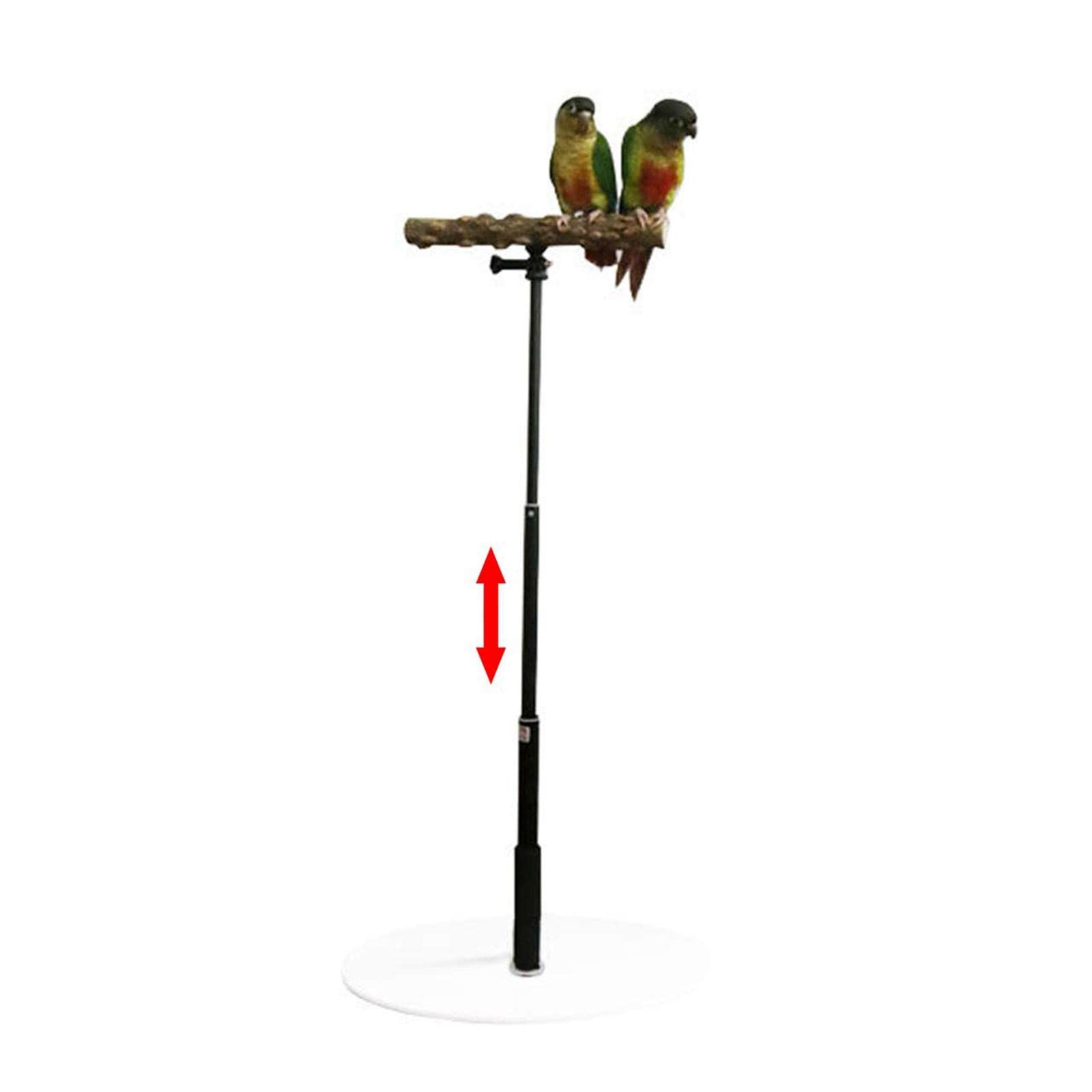 Vogelstange Holz Parrot Training T Stand Sitz Spielplatz Leiter Funktion Unterstützt Mentale Und Körperliche Entspannung für Tisch Büro Fensterbank Kä