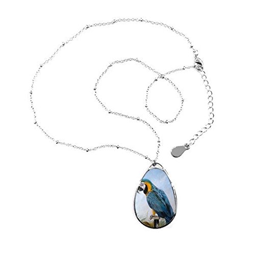 Collier oiseau perroquet en forme de larme avec sa chaîne en métal inoxydable robuste