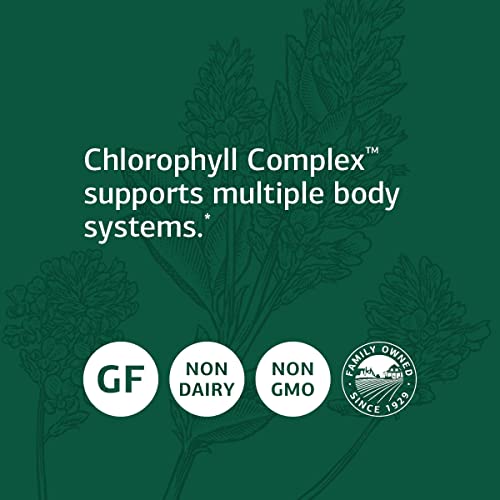 Standard Process Chlorophyll Complex Immune Support, Antioxidant