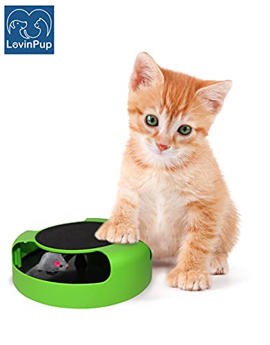 Lovinpup Interactive Cat Toy, Spinning Mouse Toy For Cats, Toy With Scratching Board And Running Mouse, Fun Cat Powered Toy, No Batteries Required #TOP5