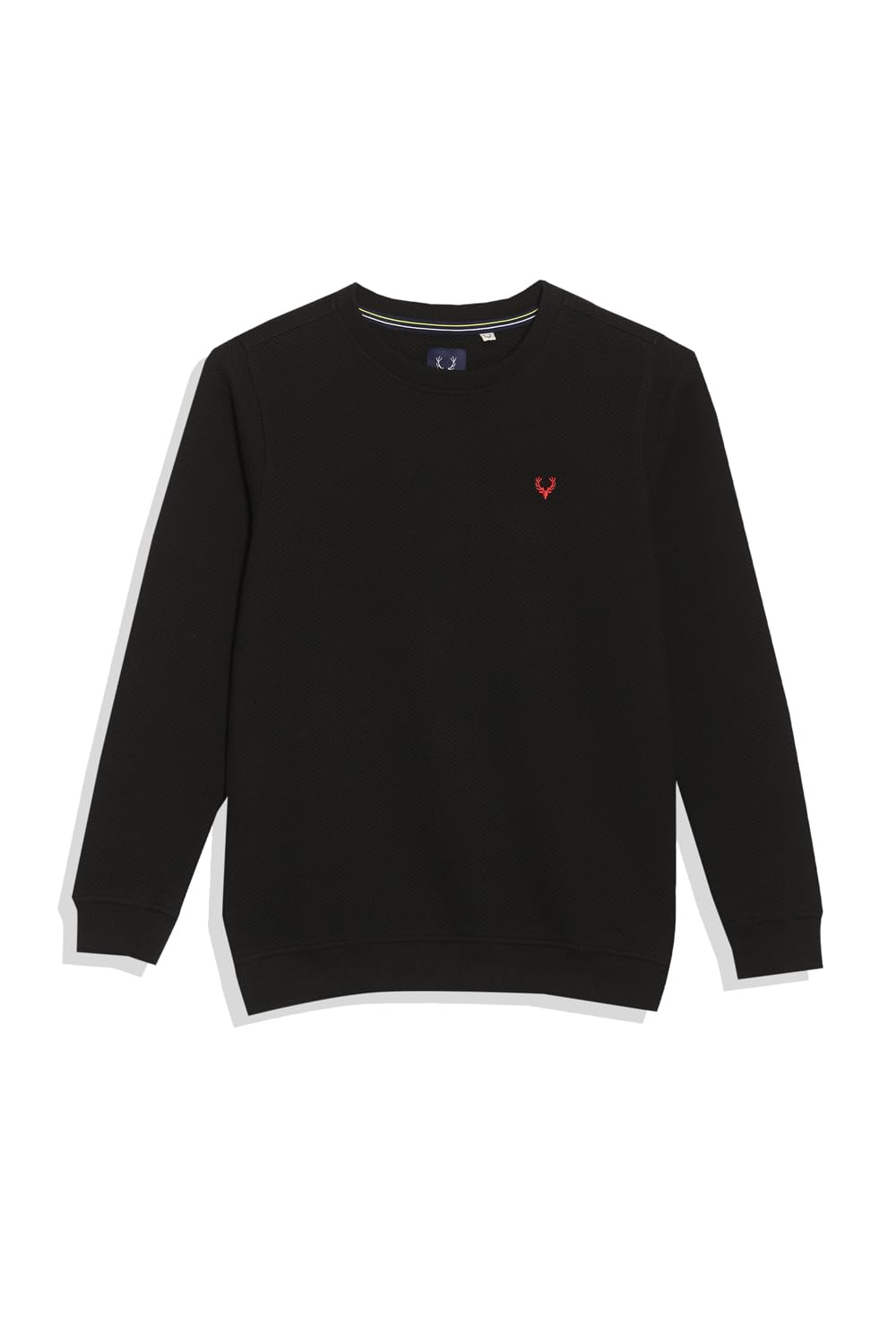 Allen Solly Boys Black Textured Regular Fit Sweatshirt-picture-17