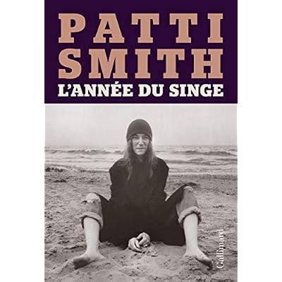 L'ann&eacute;e du singe