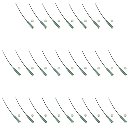 EXCEART 25Nԕې ڃvX`bNʉԌsp Wt ԍރANZT[ VNȉԂ̐⋋ ێ Ap