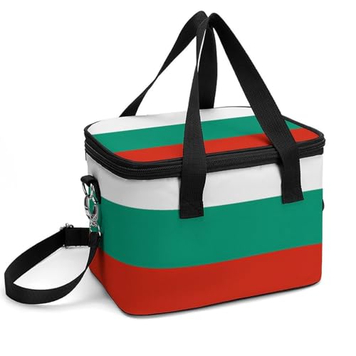 Collapsible Cooler Bag Camping Cooler Tote Lunch Cooler Insulated Waterproof Lunch Box for Picnic Beach Travel