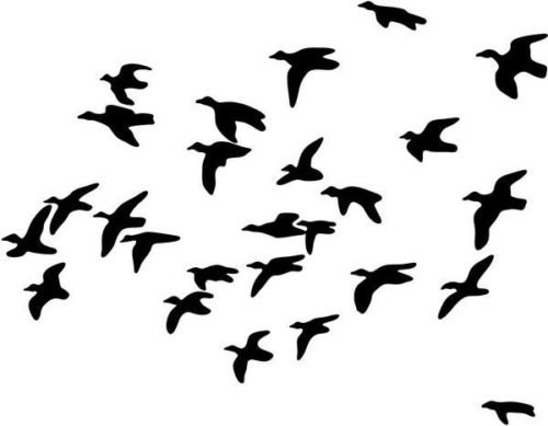 Duck Goose Hunting Sportsman Vinyl Graphic Decal