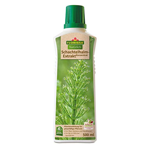 Florissa Estratto di equiseto concentrato 500 ml