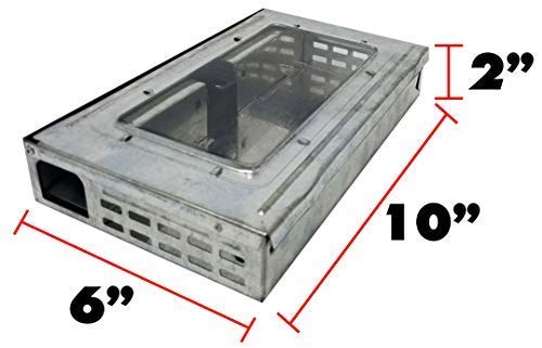 Janico 9202 Repeather Multiple Catch Mouse Trap (1) #TOP7