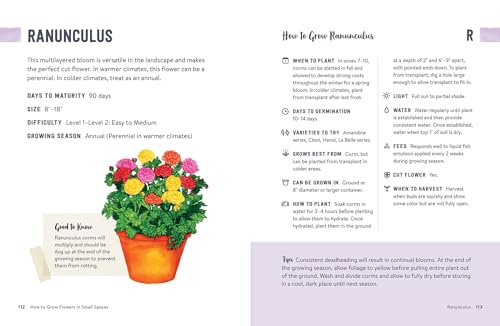 How to Grow Flowers in Small Spaces: An Illustrated Guide to Planning, Planting, and Caring for Your Small Space Flower Garden - Image 5