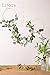 Ling's Moment Eucalyptus & Cotton Wooden Hoop Wreath for Wedding, Bridal Showers, Baby Shower, Birthday, Wall Mount, Tabletop Mount, White, Versatile Design
