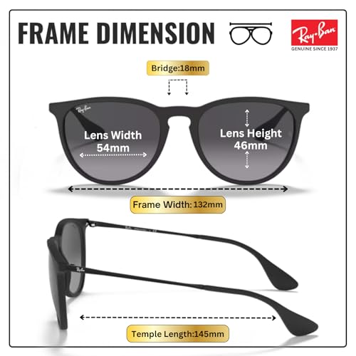 Image of Ray-Ban RB4171 ERIKA CLASSIC Phantos Shaped Sunglasses for Women with Official RAYBAN Eyewear Kit