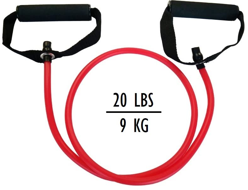 Aegon Resistance Band | Workout Band | Resistance Tube for Exercise | Pilates Latex Tube Expander | Strength Training Resistant Band for Men & Women | Stretching Bands Set Fitness Equipment 20 LBS (B0B6JGCDDB) Amazon Price History, Amazon Price Tracker