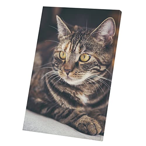 Tableau chat tigre : ravivez un mur blanc avec cette toile imprimée 30x45