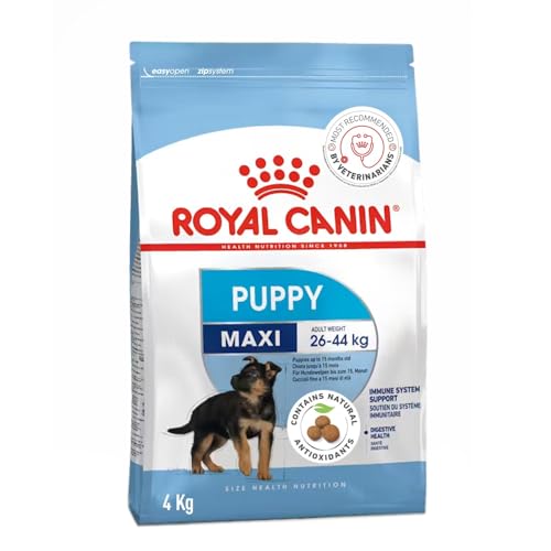 Image of Royal Canin Maxi Puppy Food, Dry Food, Supports Immune System & digestive health, Provides Long growth, moderate energy, 4 Kg