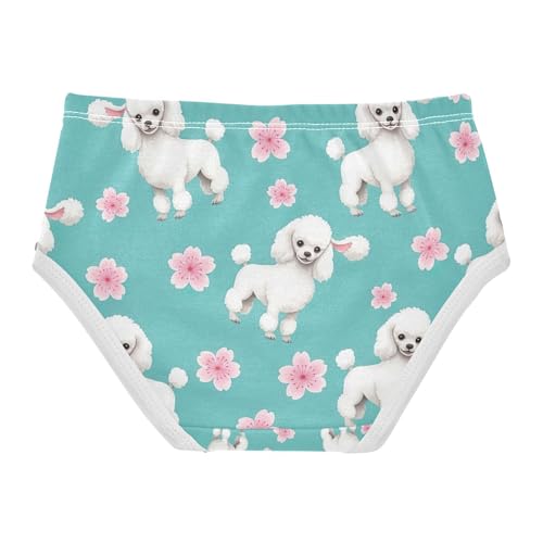 Cherry Blossom Flowers Teal Toddler Underwear, Girl Underwear, 2T–8 Years2