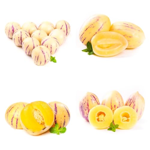 Pera melón pepino semillas de melón Árbol bonsái, plantas de balcón resistentes. semillas de pera melón plantas de interior, plantas en macetas, árboles bonsái semillas de frutas, 100pcs