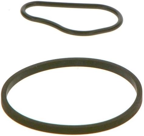 Primer pla view of two black rubber seals, one oval and one circular, for a brake master cylinder repair kit.