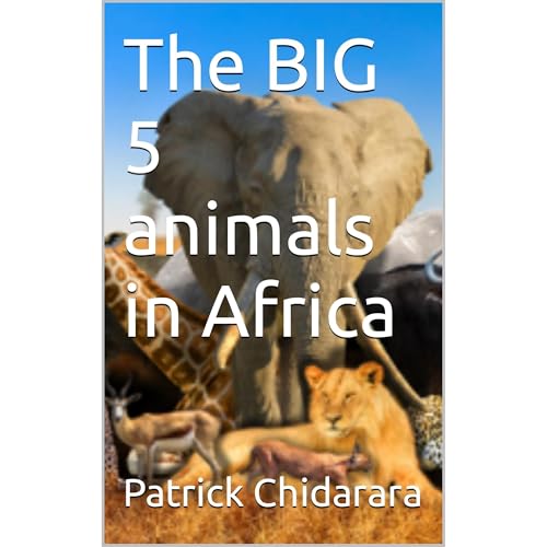 The BIG 5 animals in Africa by Patrick Chidarara episode artwork