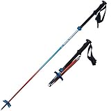 Backcountry Access Scepter 4S Poles - Blue