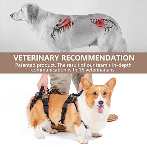Coodeo Dog Lift Harness, Full Body Support & Recovery Sling, Pet Rear Leg Support Rehabilitation Lifts Vest, Dog Carrier… - Image 2