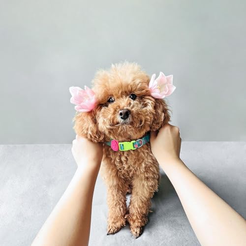 Floral Dog Collar, Girly Dog Collar with Detachable Flower Charm for Medium Dogs