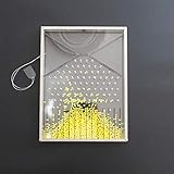 Zoom IMG-1 scienza dell educazione modello esperimento Zoom IMG-1 scienza dell educazione modello esperimento