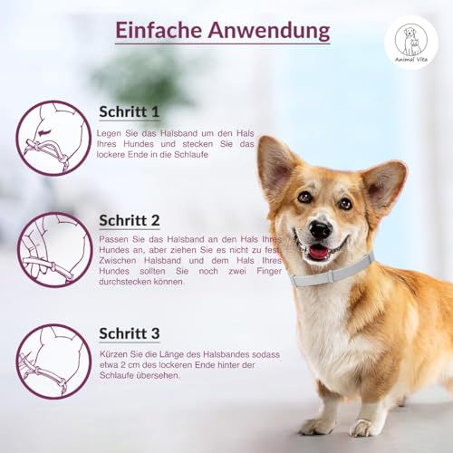 Animal Vita® Premium Zeckenhalsband für kleine Hunde - Zuverlässiger Schutz vor Zecken [wasserdicht und größenverstellbar] bis zu 8 Monate Zeckenschutz für Hunde