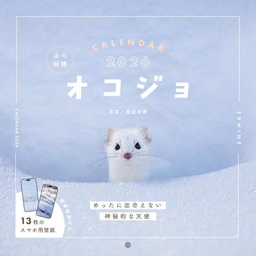 【購入者限定特典付き】カレンダー2026 山の妖精 オコジョ CALENDAR （月めくり/壁掛け/420mm×210mm）（「かわいいオコジョのスマホ壁紙画像」データ配信） (インプレスカレンダー2026)