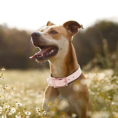 Collier imperméable pour chien facile à nettoyer sangle souple Wisedog réglable S